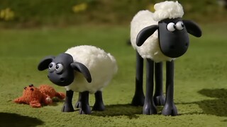 TIMMY IN A TIZZY - SHAUN THE SHEEP SEASON 1 FULL
