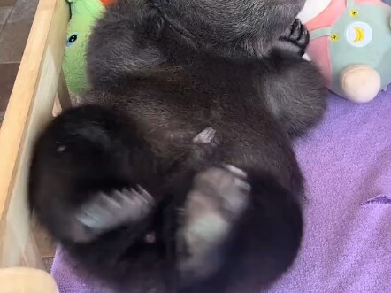 Mọi người giúp mình với, còn thiếu mấy coin nữa, cảm ơn nhé!