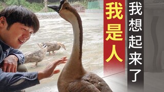 Gezi: Sepertinya aku ingat sesuatu.