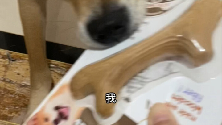 เดี๋ยว! หนึ่ง! นาที!
