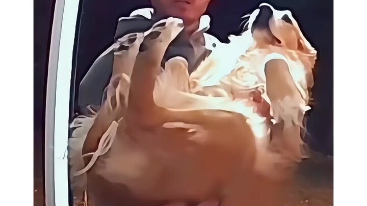 My friend stole the dog with a clear conscience
