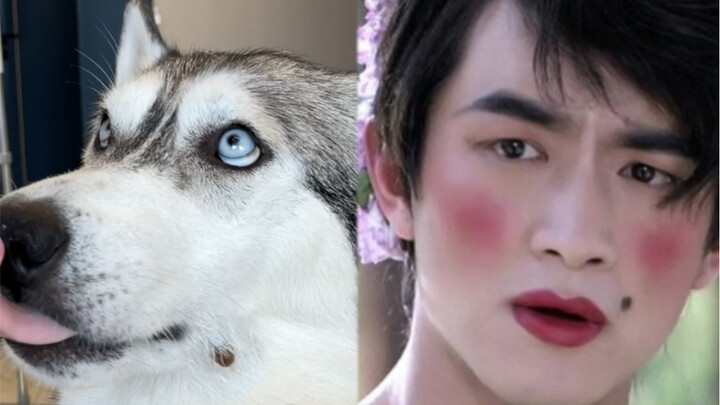 As expected, the silly dog is still scared of the tiger mom!