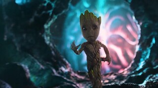 คุณสามารถไว้วางใจ Groot ต้นอ่อนน้อยน่ารักได้เสมอ!