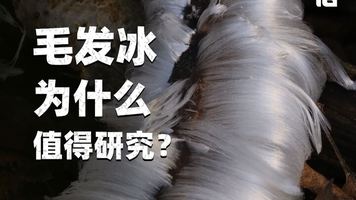 Vì sao băng lông lại đáng để nghiên cứu?