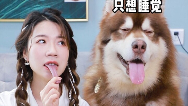 This is so scary! Pretending to rip out your tongue in front of the dog… were you seriously about to