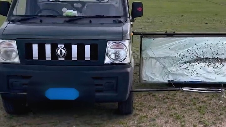 How do people on the grassland catch grasshoppers?