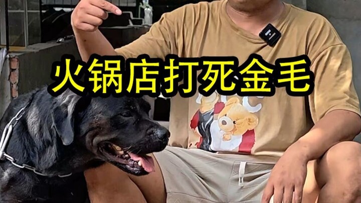 Anjing tidak dijaga dengan baik malah masih berani ngomong? Insiden restoran hot pot memukuli mati a
