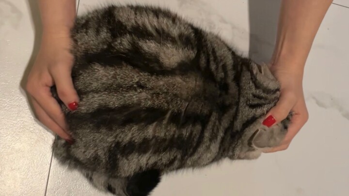 ฟังออกเลยว่าเป็นของแข็ง 😚