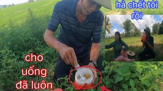 Tư Cà Khịa Lập Kế Gạt Sáu Sành Không Ngờ Gậy Ông Đập Lưng Ông