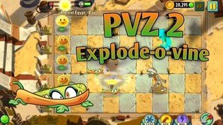 PVZ 2, Explode-o-vine
