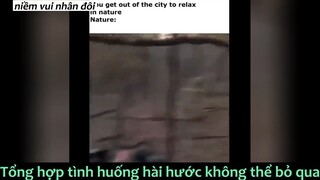 Tổng hợp những video hài không thể bỏ qua#haihuoc#hài#tt
