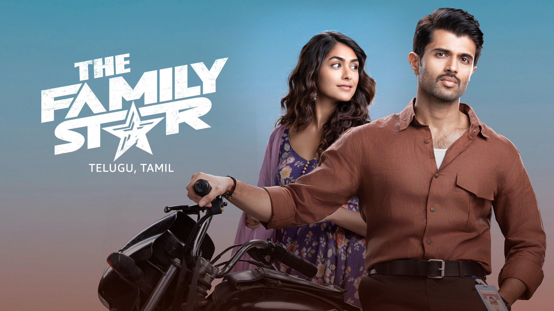 The Family Star (2024) Hindi Dubbed - 720P - BiliBili