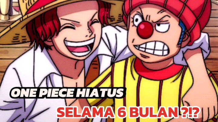 One Piece Beneran Hiatus ????