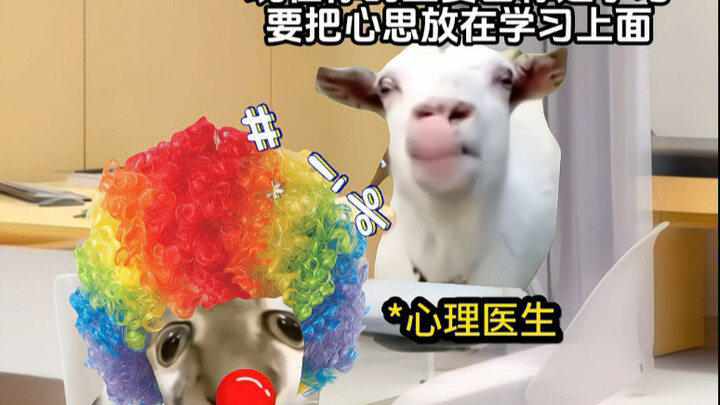 لماذا لا يستطيع الأرثوذكسي أن يهزم الساحر الشرير؟