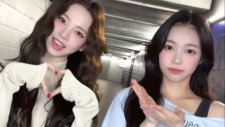SM Entertainment artists: Yoo Ji-min, Lee Mark, Hearts2Hearts, Red Velvet, TVXQ!