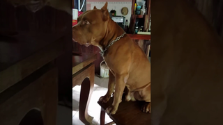 นั่นคือสิ่งที่ฉันได้เรียนรู้เกี่ยวกับ