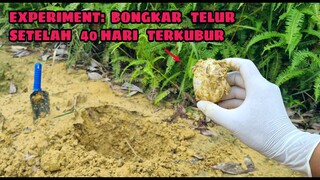 EKSPERIMEN: BONGKAR dan ZOOM 1000X, TELUR yang DIKUBUR 40 HARI [part2]