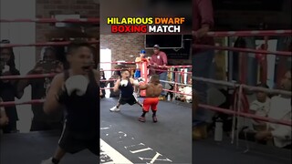 Try not to laugh at boxing match