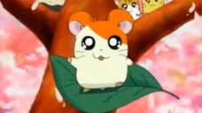 Hamtaro Episode 01 "Hamtaro"