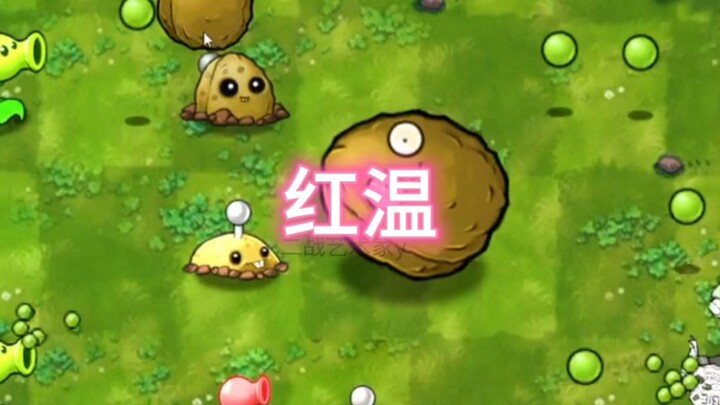 They’re burning all these fusion recipes for my KTV!