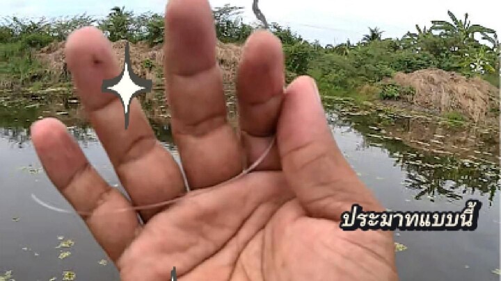 ขาดสิครับ ปลาดุกซิ่ง