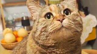 You, did you forget to feed me today?