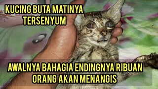 Subhanallah Kucing Buta Ini Mati Dengan Keadaan Tersenyum Inna lillahi wa inna ilaihi raji'un.!