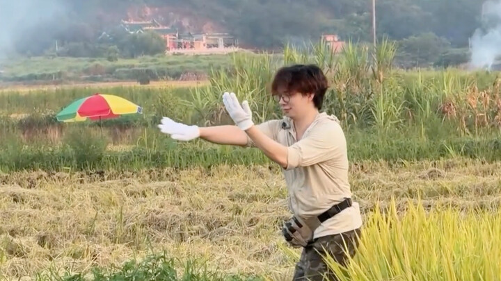 The master’s cooperation is very high, but it also feels rather perfunctory.