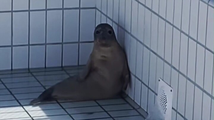 ช่างเป็นภาพทะเลกับแผ่นดินกลับด้านกันเสียจริง!