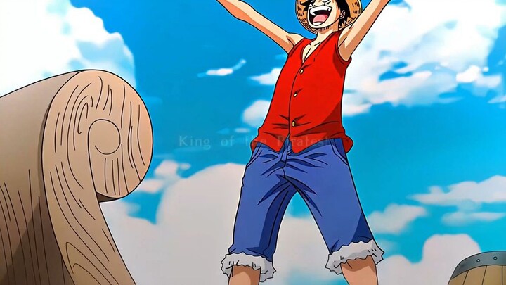 seneng banget Luffy