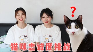 咬人猫假扮三猫，家里突然换铲屎官，猫能认出来吗？