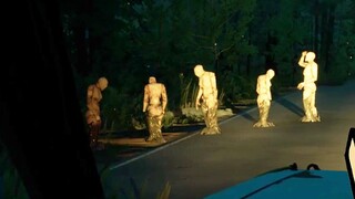 Driving at night and running into this thing nearly made my cerebellum shrink from fright...