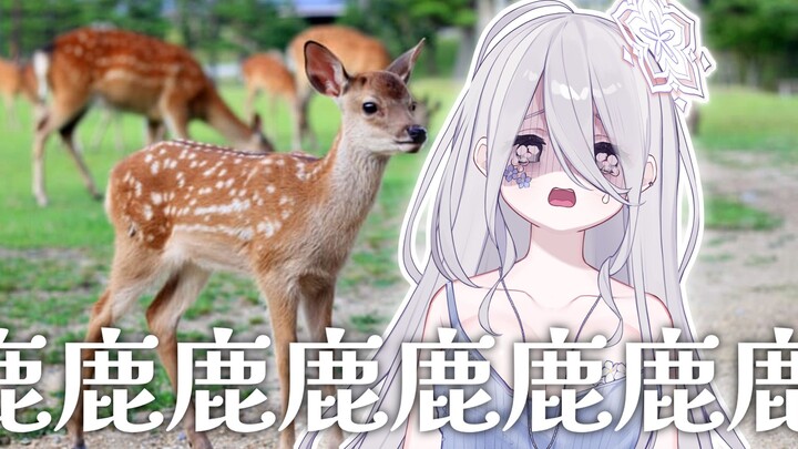 一掌给鹿打抽抽了，对不起。