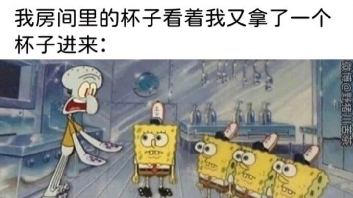 Meme Series 921