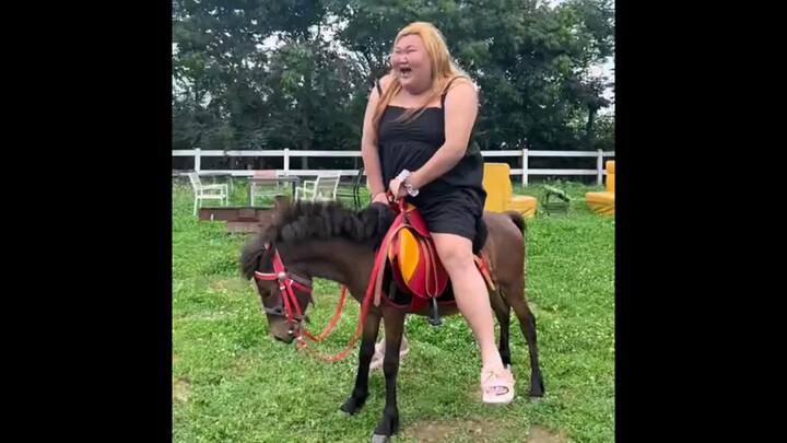 "Awkward Moments of Animals"