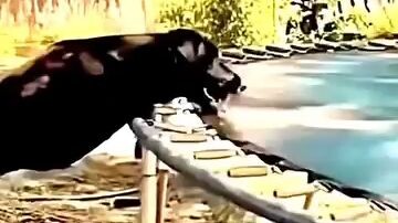 #เก่งมาก