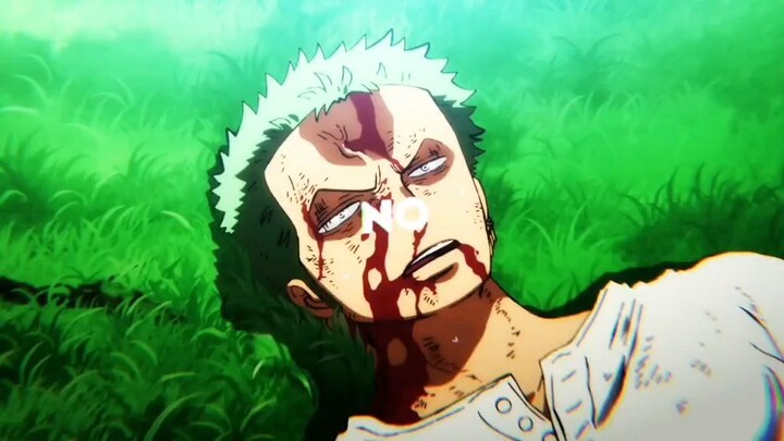 Zoro & Sanji Tag Team