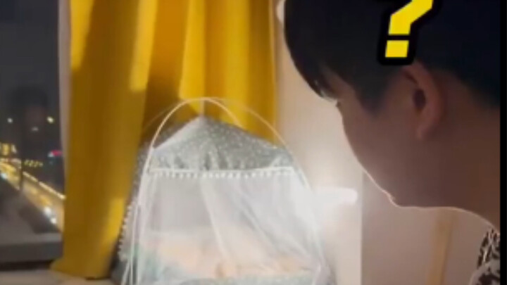 Definitely don't install motion-sensor lights in the bedroom