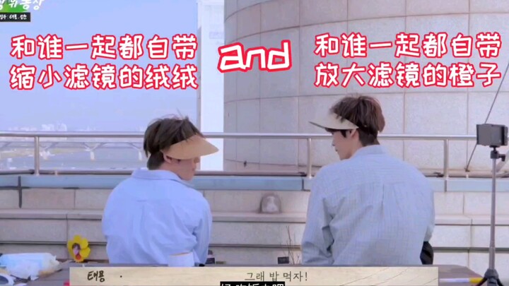 [Zheng Chengcan] No matter how long it’s been, people still can’t help but marvel at Orange’s physiq