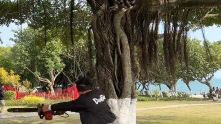 《蒙眼是你的谎言》#你的谎言