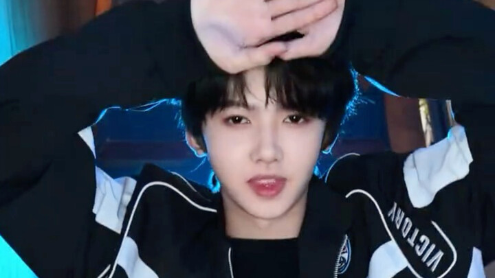 [TF Family] 🐴 “Horse” Pass the Baton & Shake It Up!