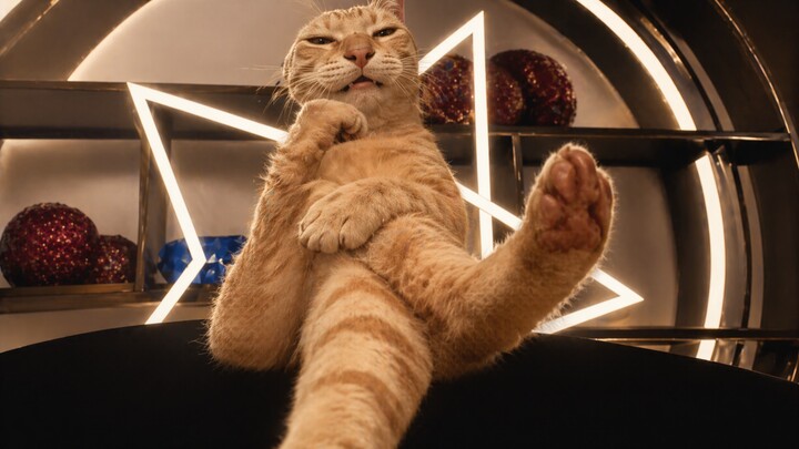 🐱 Did I give you a scare? “†TAKEDISKRUSH!†”