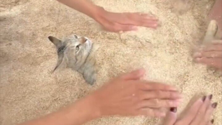 يمكنك إعادة بناء المنزل إذا فقدته، لكن ما تبنيه لن تستطيع إعادة بنائه أبدًا.