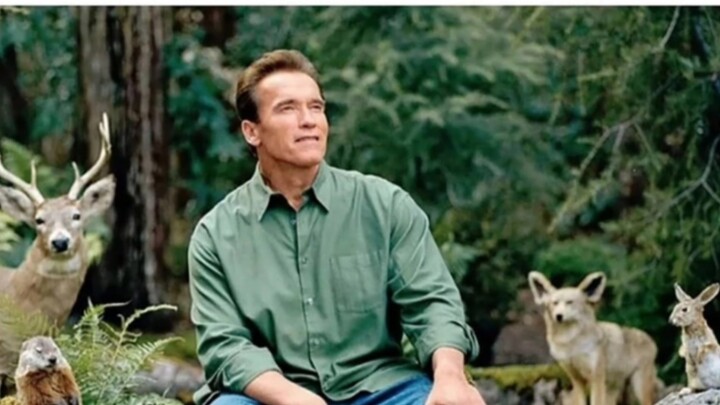 Setelah seminggu makan junk food, saya makan satu apel utuh...