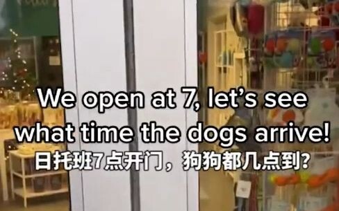 The dog daycare opens at 7 a.m. every day. Let’s see what time the furry friends arrive!