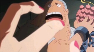 PERJUANGAN KUMA MENDAPATKAN BUAH IBLIS | ONE PIECE EPISODE 1130