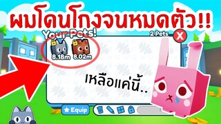 ผมโดนโกงจนหมดตัว.. ลาก่อน | Roblox Pet Simulator X 🐾