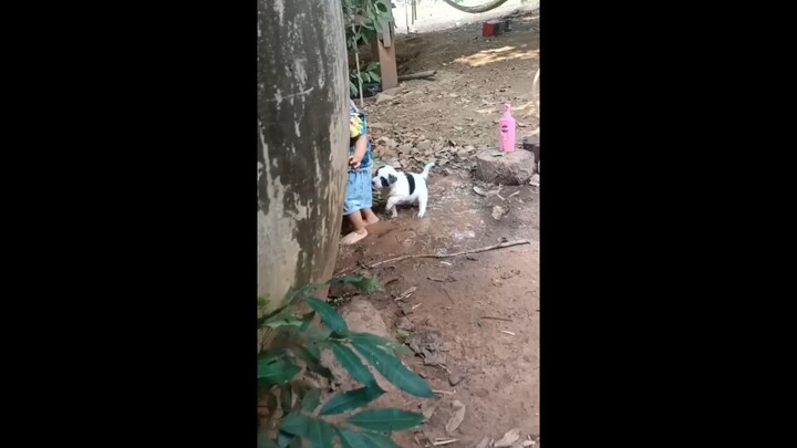 พี่เล่นน้ำแล้วน้องหมาห้ามไว้เดี๋ยวโดนแม่ตี 😅