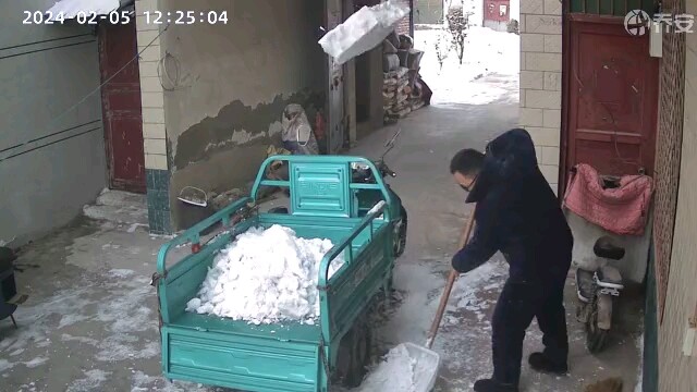 A Surprise After the Snowfall