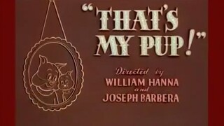 Tom and Jerry -  anakku